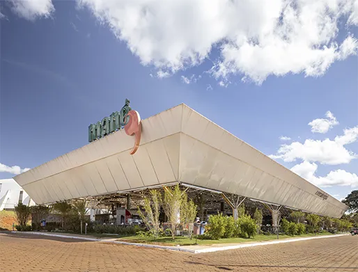 Dedetização de Mercado em São Paulo